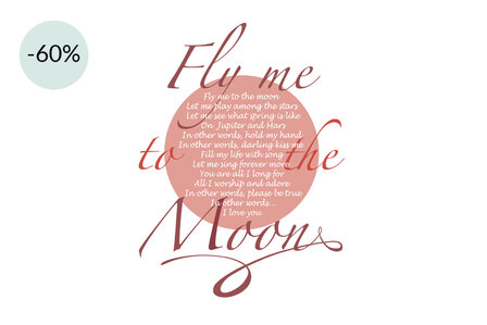 Fly me to the moon pink satijn promo