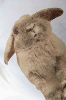 Snurk dekbedovertrek Furry Friends flanel