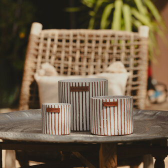 Z&eacute;bre terra Candle S