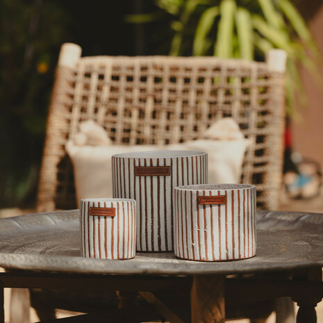 Z&eacute;bre terra Candle S