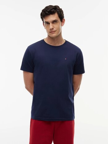 Blauw T shirt met Logo Tommy Hilfiger